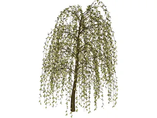 Tree 3D Model preview