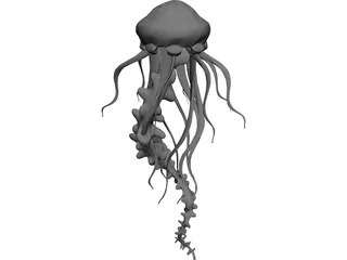 Jelly Fish 3D Model preview
