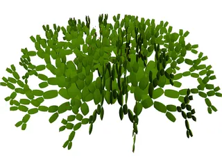 Opuntia 3D Model preview