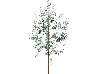 Tree 3D Model preview