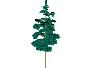 Redwood Tree 3D Model preview