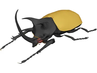 Beetle 3D Model preview