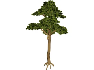 Pine 3D Model preview