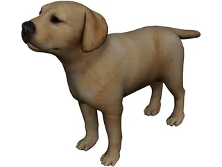 Dog 3D Model preview