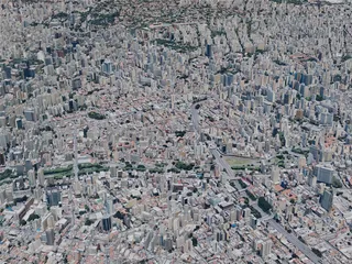 Sao Paulo City, Brazil (2019) 3D Model preview