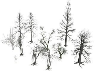 Dead Trees 3D Model preview