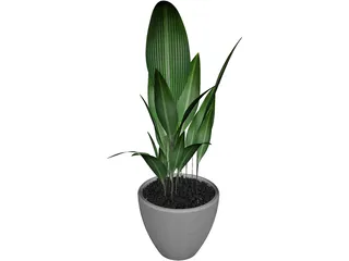 Ficus 3D Model preview