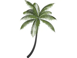 Palm 3D Model preview