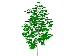 Tree 3D Model preview