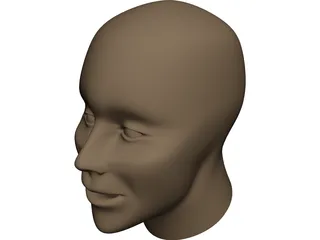 Human Head 3D Model preview