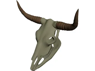 Cow Scull 3D Model preview