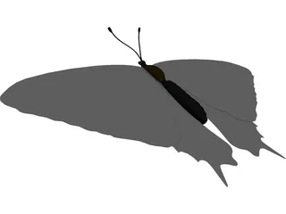 Sallow Tail Butterfly 3D Model preview