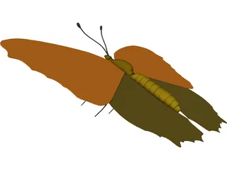 Poke Eye Butterfly 3D Model preview