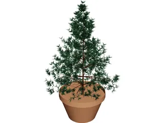 Potted Pine Tree 3D Model preview