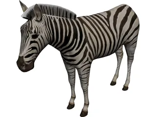 Zebra 3D Model preview