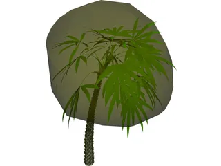 Palm 3D Model preview