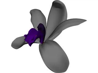 Orchid 3D Model preview
