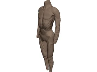 Surface Muscles 3D Model preview