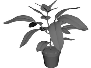 Houseplants 3D Model preview