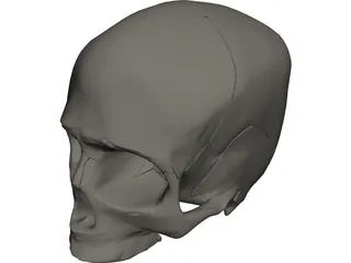 Skull Detailed 3D Model preview