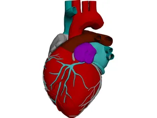 Heart 3D Model preview