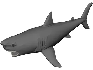 Shark Great White 3D Model preview