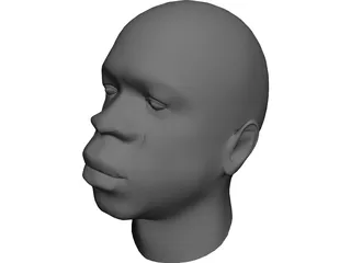 Head African Male 3D Model preview