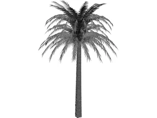 Tree Palm 3D Model preview