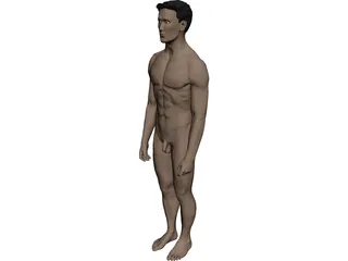 Man 3D Model preview