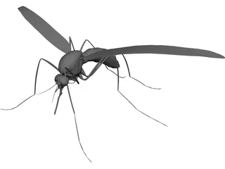 Mosquito 3D Model preview