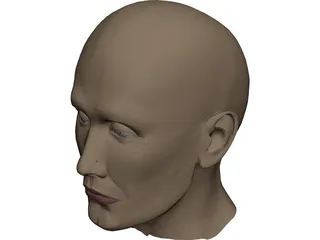 Head Male 3D Model preview