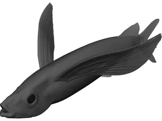 Parexocoetioes 3D Model preview