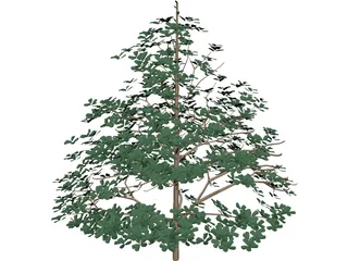 Styrax Officinalis 3D Model preview