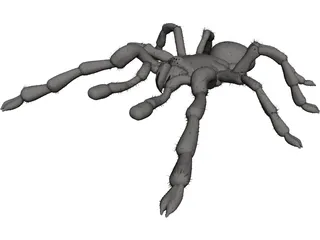 Tarantula 3D Model preview