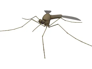 Mosquito 3D Model preview