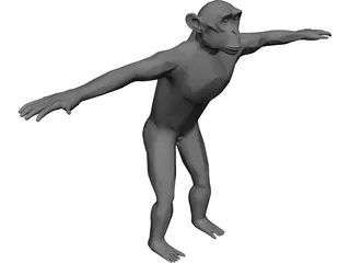 Chimpanzee 3D Model preview