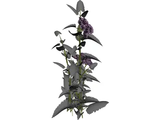 Plant 3D Model preview
