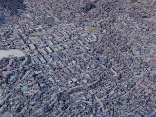 Aspen City, CO, USA (2022) 3D Model preview
