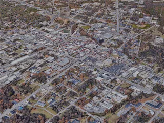 Fayetteville City, NC, USA (2022) 3D Model preview