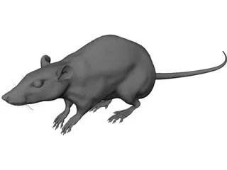 Rat House 3D Model preview