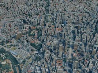 Sao Paulo City, Brazil (2024) 3D Model preview