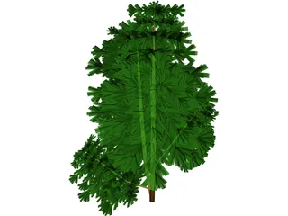 Juniper Bush 3D Model preview