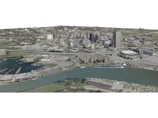 Buffalo City 3D Model preview