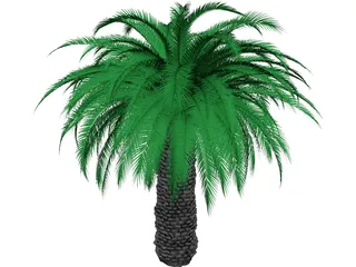 Tree 3D Model preview