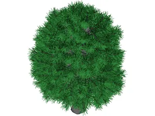 Tree 3D Model preview