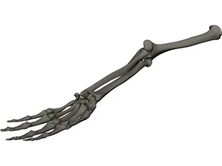 Hand 3D Model preview