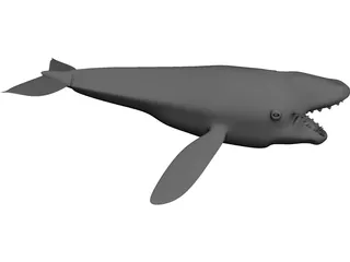 Whale 3D Model preview