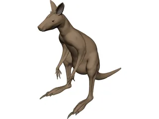 Kangaroo 3D Model preview
