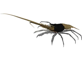 Lobster (Palinurus Elephas) 3D Model preview