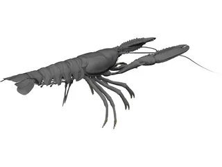 Lobster (Nephrops Norvegicus) 3D Model preview